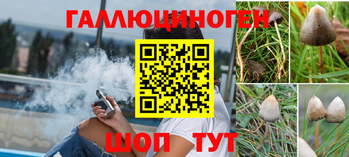 где купить наркоту  Псилоцибиновые грибы ЛСД  Вход с VPN  Альметьевск  Псилоцибиновые грибы Cubensis 