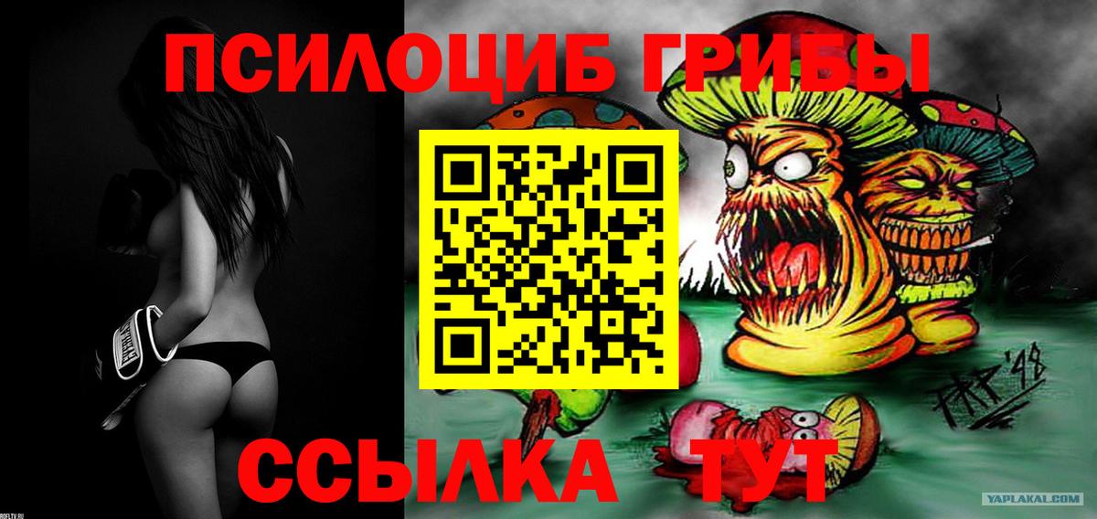 Псилоцибиновые грибы Cubensis Альметьевск